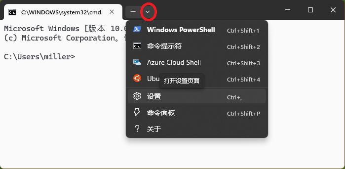 挂接msys到Windows控制台-1