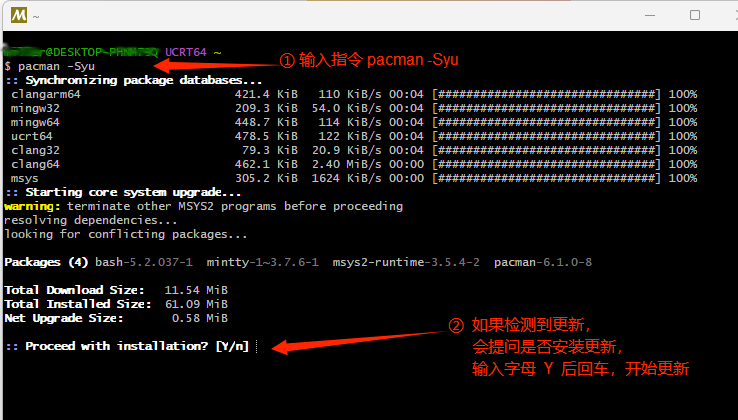 检查并更新 MSYS2