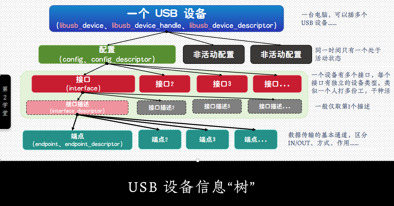 USB设备信息树